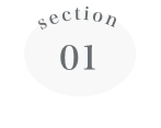 セクション1